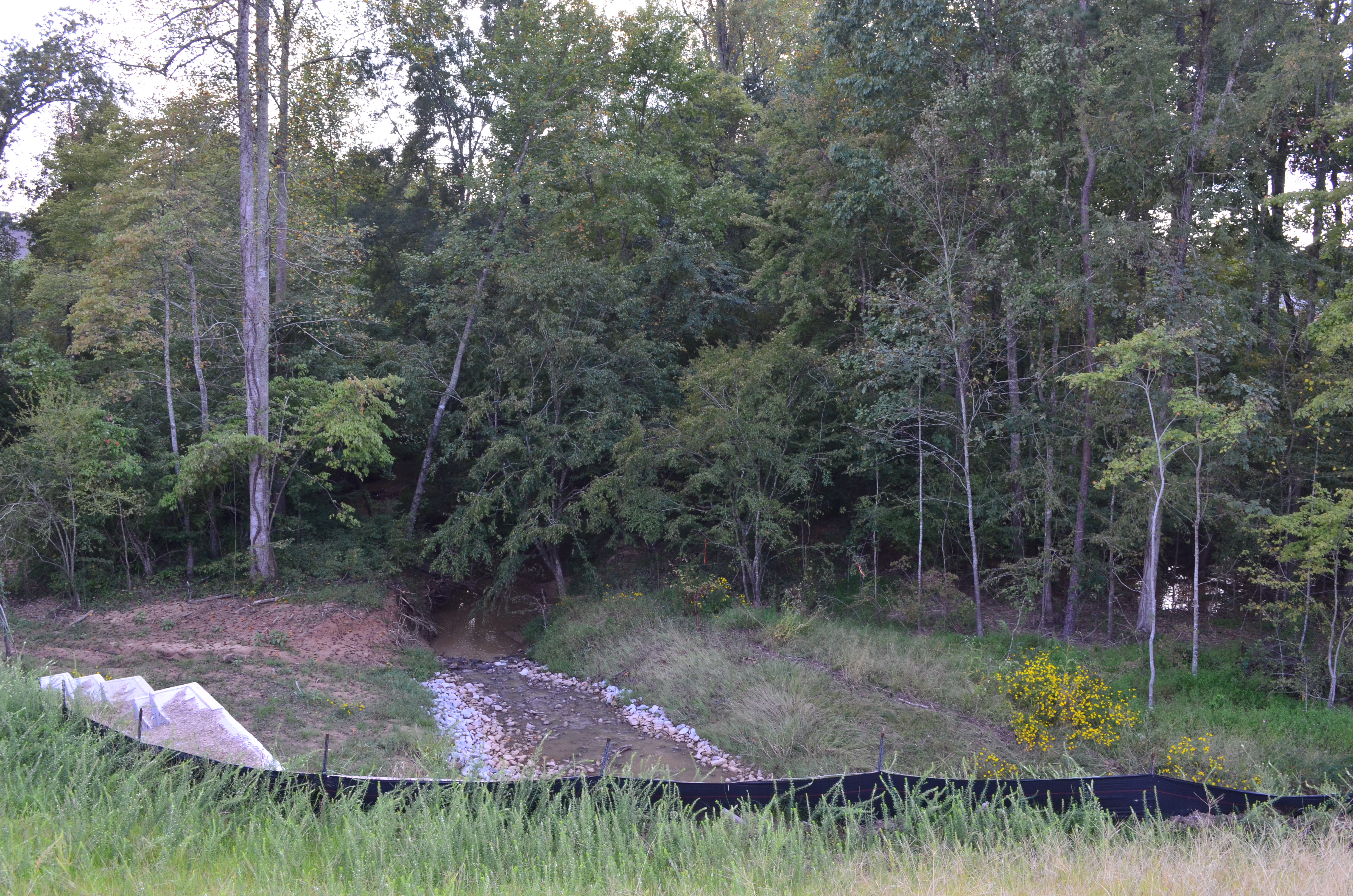 ./2019/17 - New House/BNDSC_0209.JPG